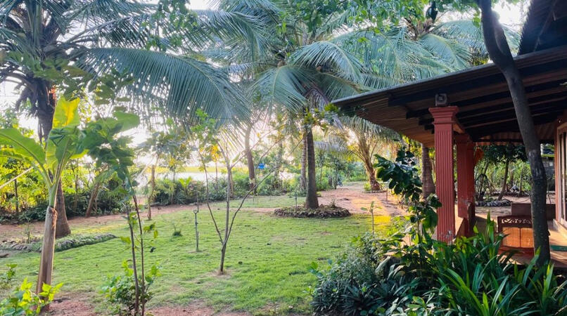Peaceful tropical garden with coconut trees and green lawn beside a house near a lake.