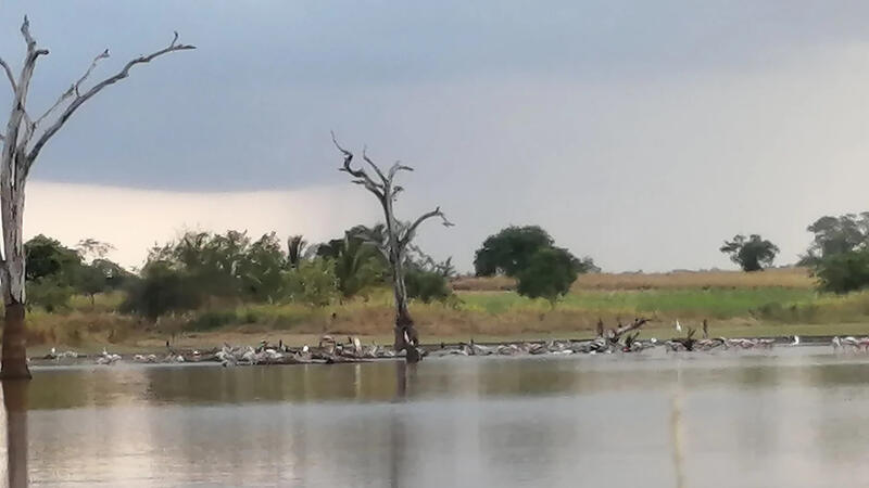 A Hidden Paradise for Nature Lovers "Step into a living postcard. Rahathangama Wewa is a thriving sanctuary for local and migratory birds. Watch as flocks of egrets and storks gather in the shallows, and listen to the symphony of nature at dawn. Our resor