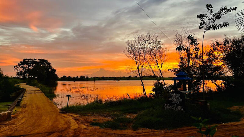 A peaceful sunset over a lakeside path with trees and palm leaves, a small Buddhist shrine beside the water, and the sky glowing orange and gold.