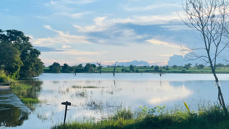 “A tranquil lakeside landscape with still water, scattered trees in the lake, green countryside in the distance, and a bright blue sky with light clouds.”