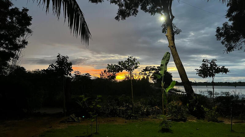 Colorful sunset view over a tropical garden with coconut trees and greenery near a lake.